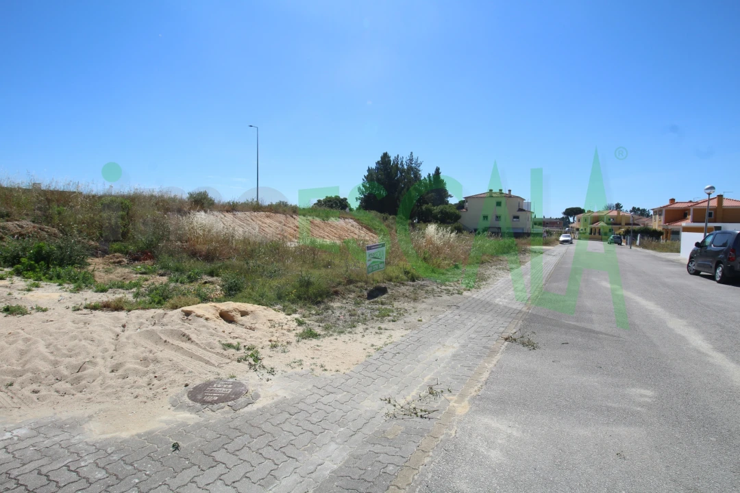 Terreno para Venda em Cartaxo e Vale da Pinta Foto 5