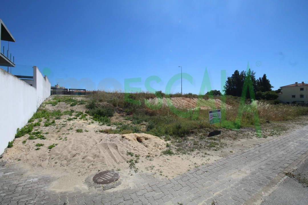 Terreno para Venda em Cartaxo e Vale da Pinta Foto 6