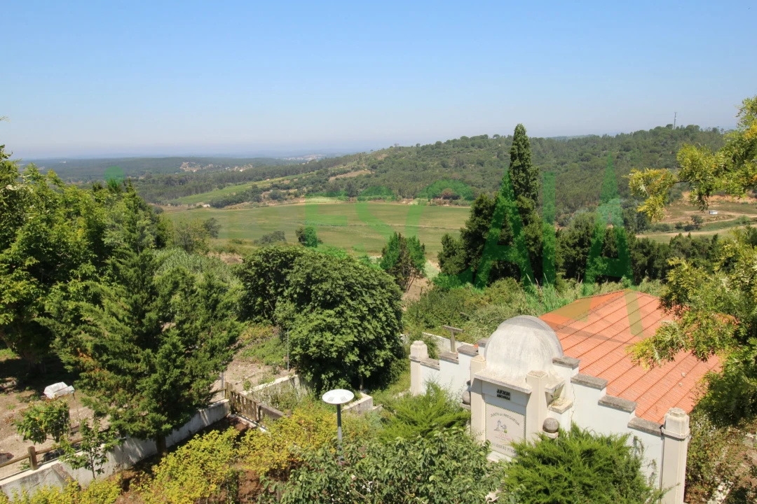 Moradia T2 para Venda em Marmeleira e Assentiz Foto 47