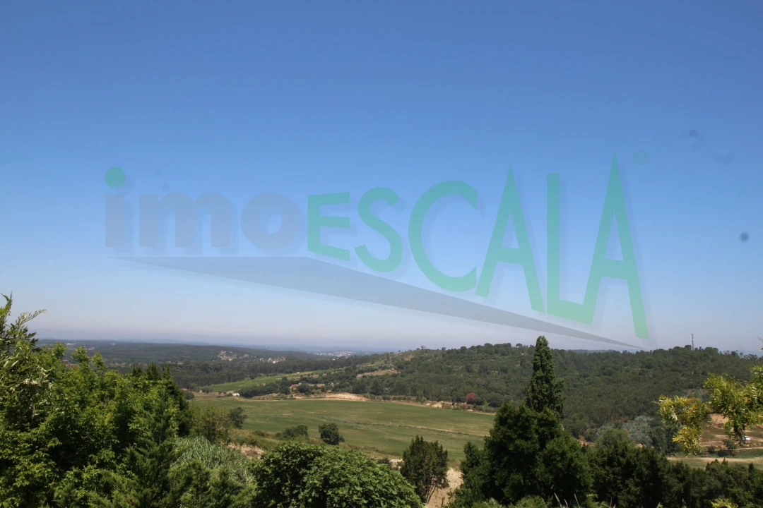 Moradia T2 para Venda em Marmeleira e Assentiz Foto 46