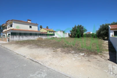 Terreno para Venda em Cartaxo e Vale da Pinta