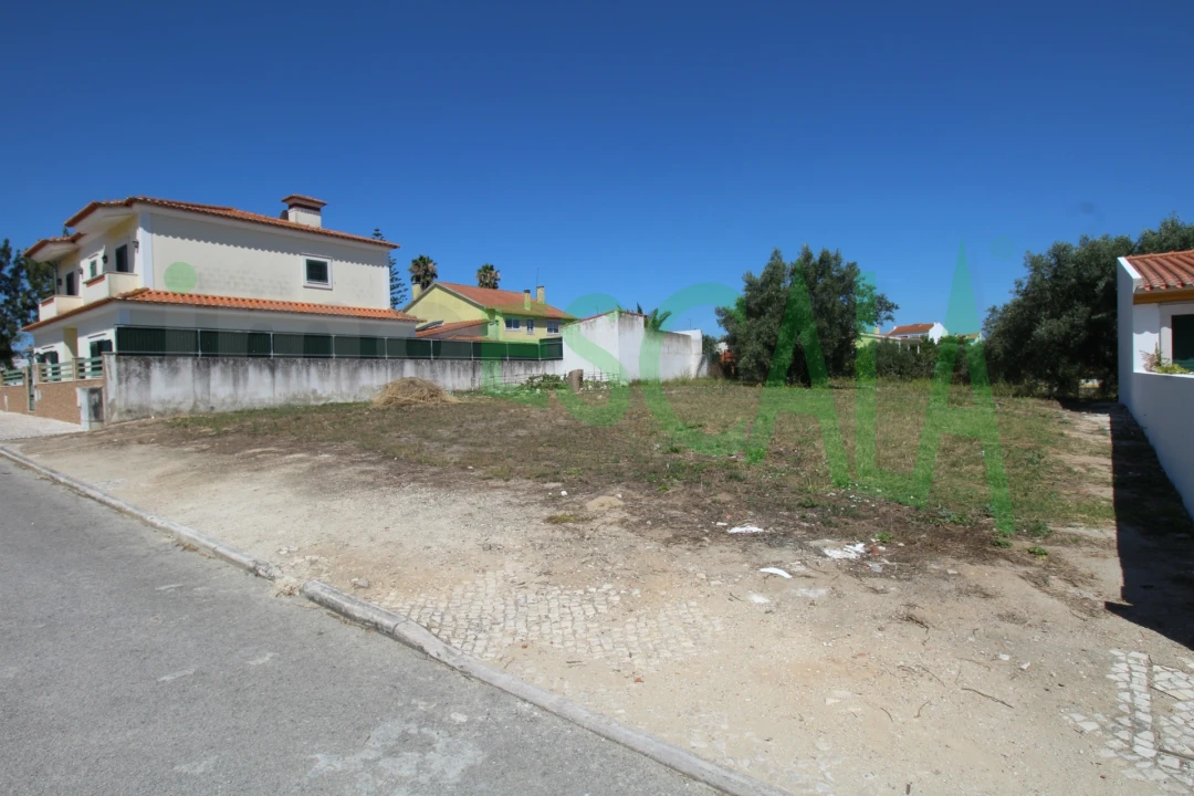 Terreno para Venda em Cartaxo e Vale da Pinta Foto 8