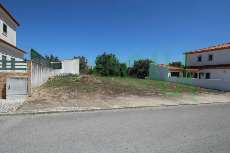 Terreno para Venda em Cartaxo e Vale da Pinta Foto 4