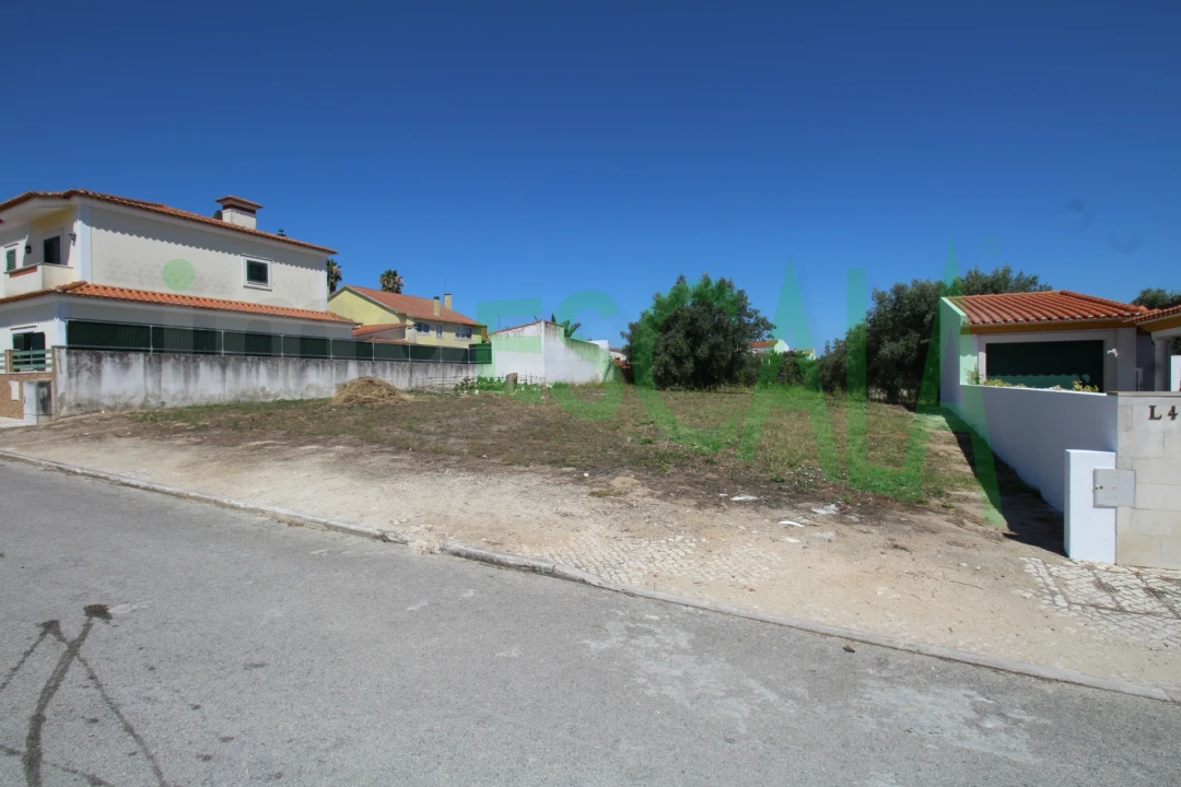 Terreno para Venda em Cartaxo e Vale da Pinta Foto 6