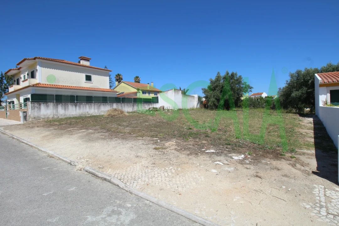 Terreno para Venda em Cartaxo e Vale da Pinta Foto 9