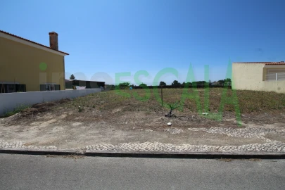 Terreno para Venda em Cartaxo e Vale da Pinta
