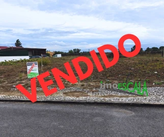Terreno para Venda em Cartaxo e Vale da Pinta