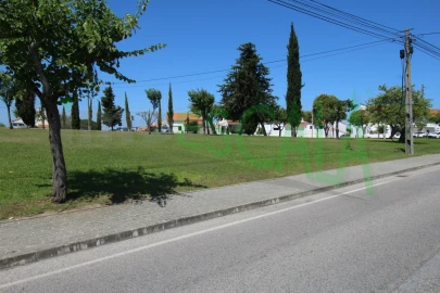 Terreno para Venda em Cartaxo e Vale da Pinta