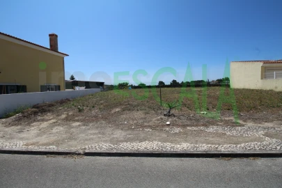 Terreno para Venda em Cartaxo e Vale da Pinta
