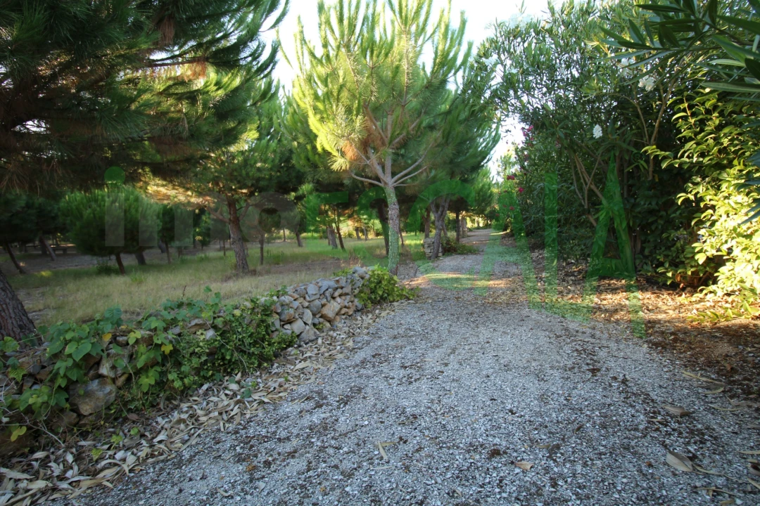 Quinta T2 para Venda em Vila Chã de Ourique Foto 107