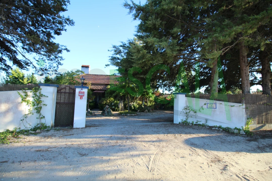 Quinta T2 para Venda em Vila Chã de Ourique Foto 132