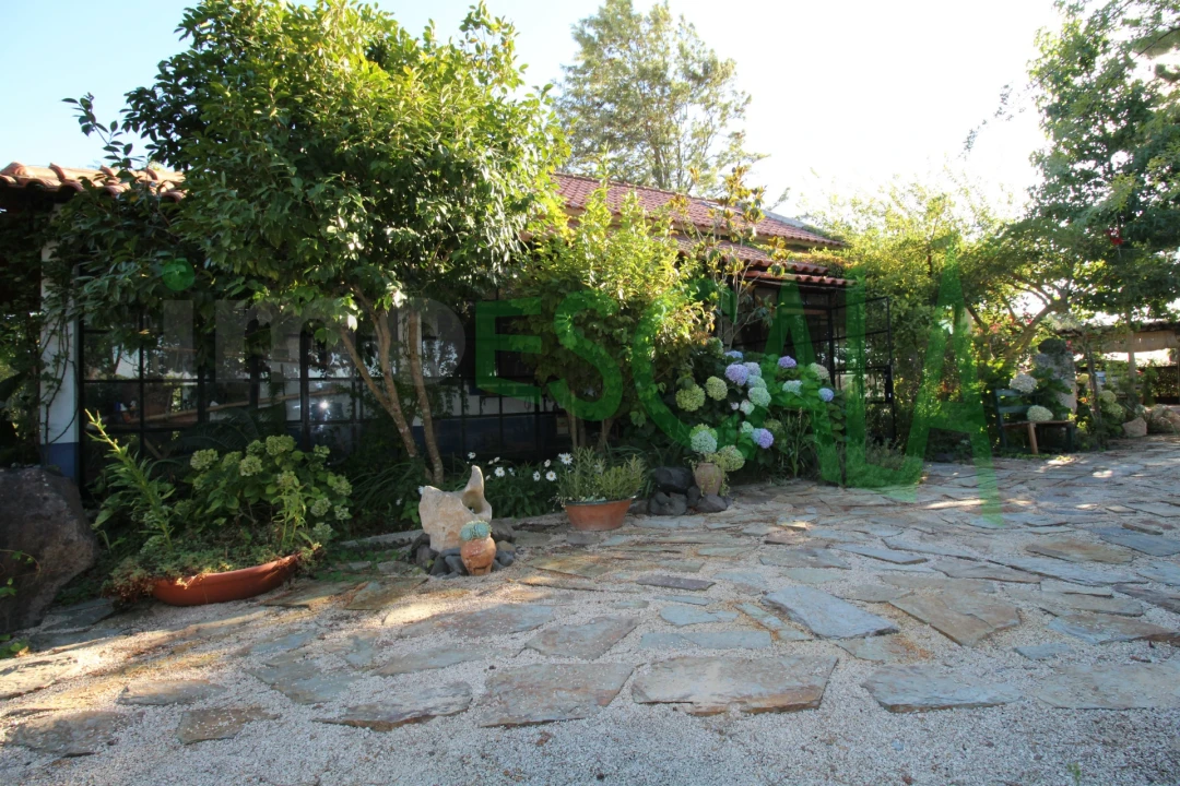 Quinta T2 para Venda em Vila Chã de Ourique Foto 10