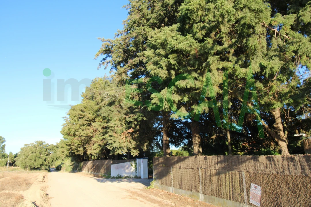 Quinta T2 para Venda em Vila Chã de Ourique Foto 138