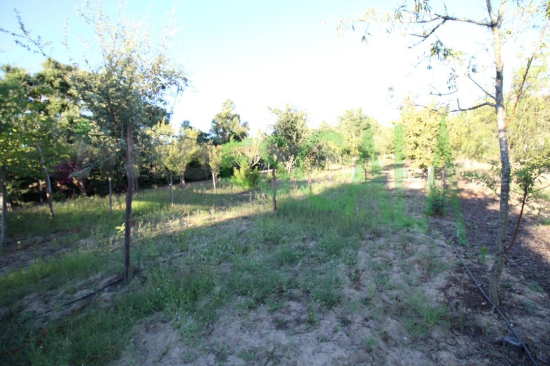 Quinta T2 para Venda em Vila Chã de Ourique Foto 99