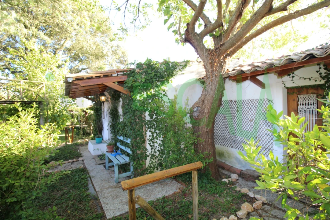 Quinta T2 para Venda em Vila Chã de Ourique Foto 33