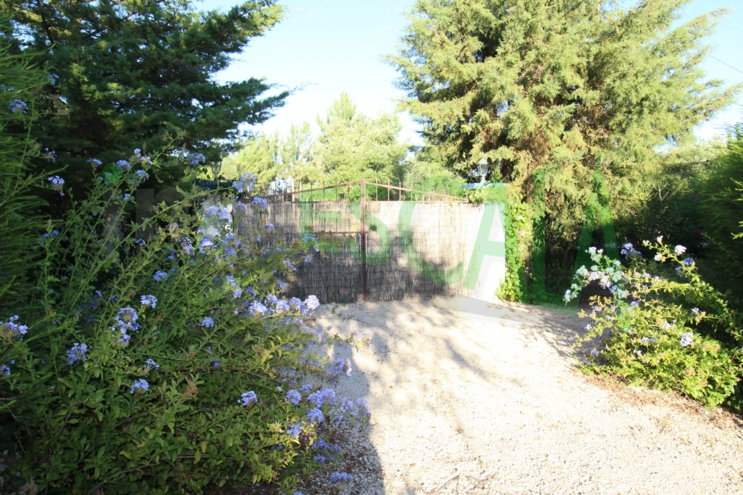 Quinta T2 para Venda em Vila Chã de Ourique Foto 109