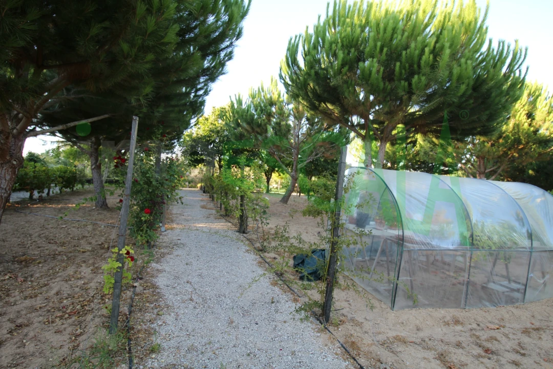 Quinta T2 para Venda em Vila Chã de Ourique Foto 120