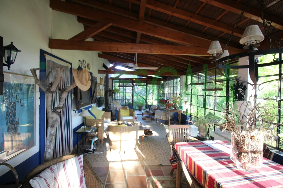 Quinta T2 para Venda em Vila Chã de Ourique Foto 64