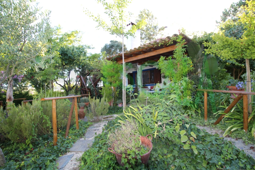 Quinta T2 para Venda em Vila Chã de Ourique Foto 11