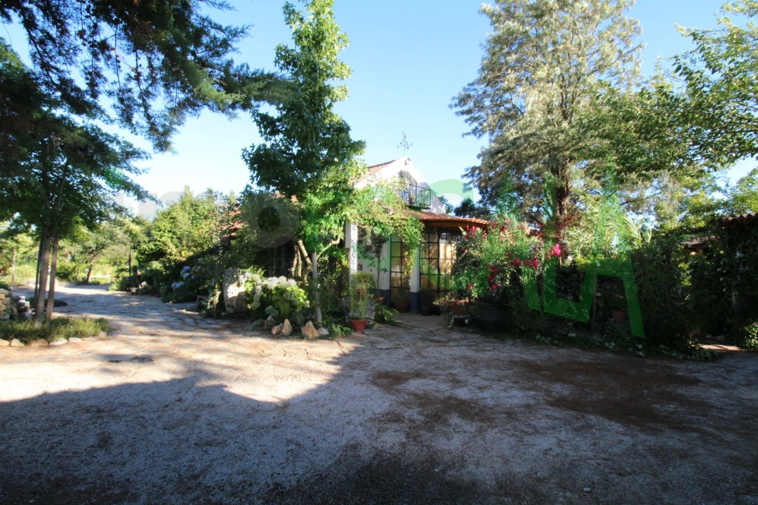 Quinta T2 para Venda em Vila Chã de Ourique Foto 3