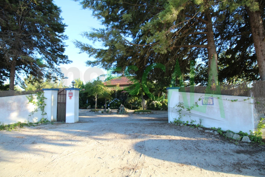 Quinta T2 para Venda em Vila Chã de Ourique Foto 131