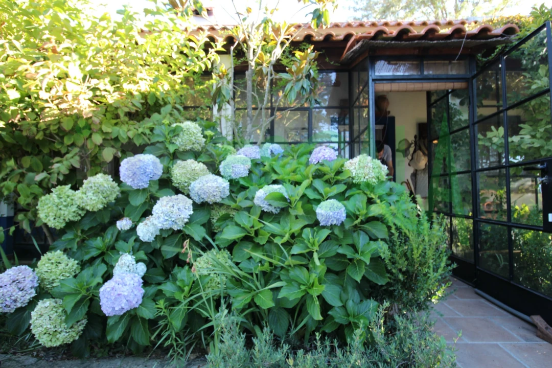 Quinta T2 para Venda em Vila Chã de Ourique Foto 8