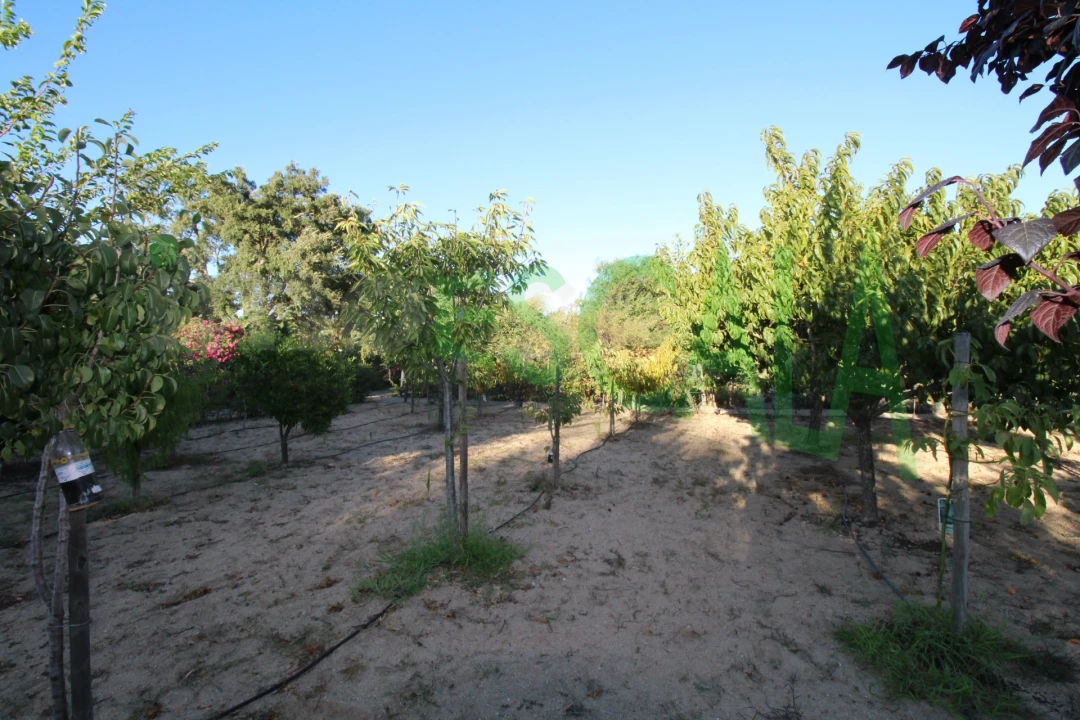 Quinta T2 para Venda em Vila Chã de Ourique Foto 95