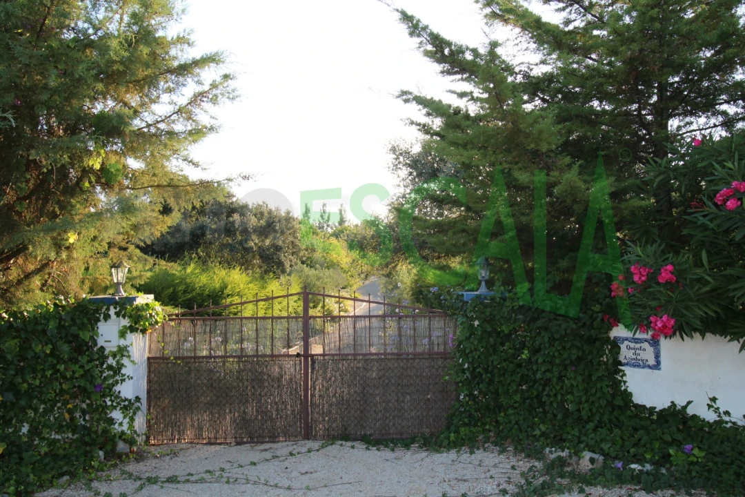 Quinta T2 para Venda em Vila Chã de Ourique Foto 145