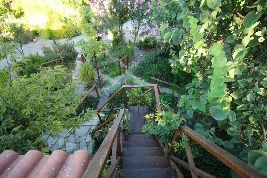 Quinta T2 para Venda em Vila Chã de Ourique Foto 22