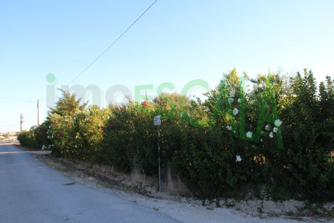 Quinta T2 para Venda em Vila Chã de Ourique Foto 141