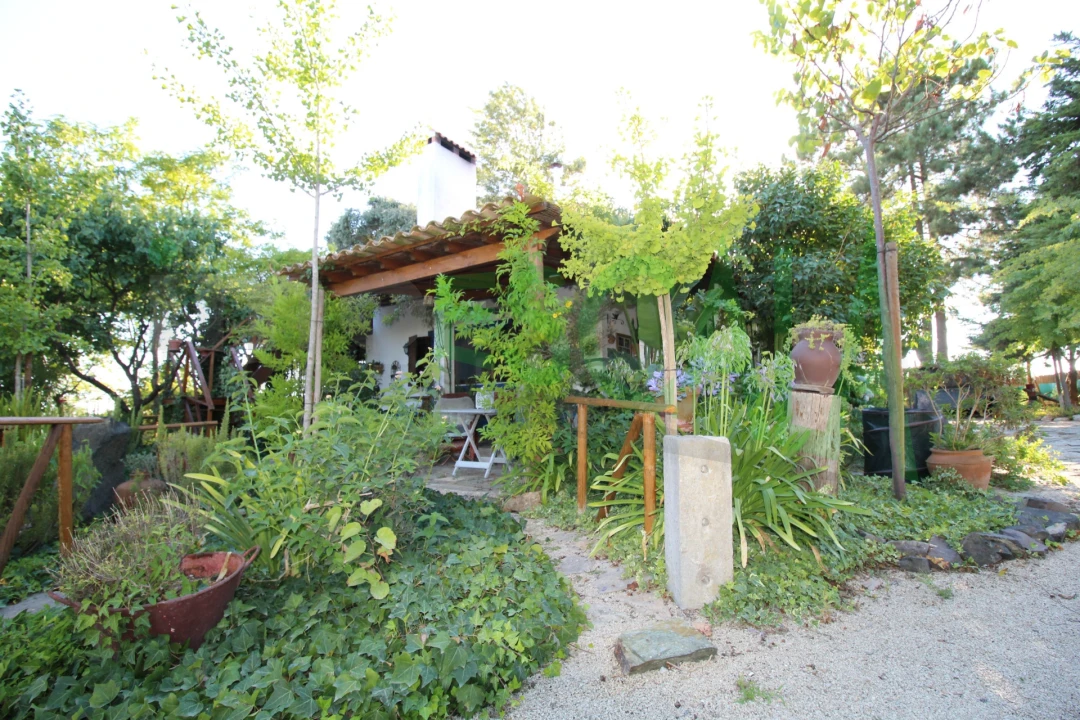 Quinta T2 para Venda em Vila Chã de Ourique Foto 13