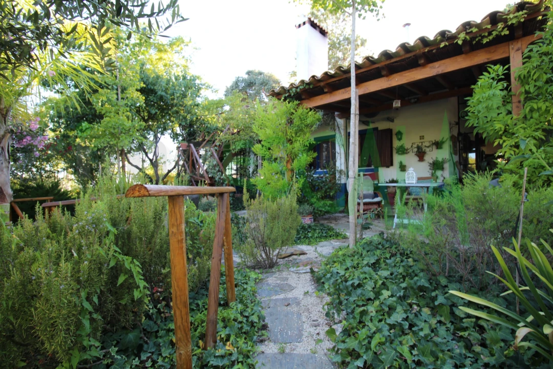 Quinta T2 para Venda em Vila Chã de Ourique Foto 12