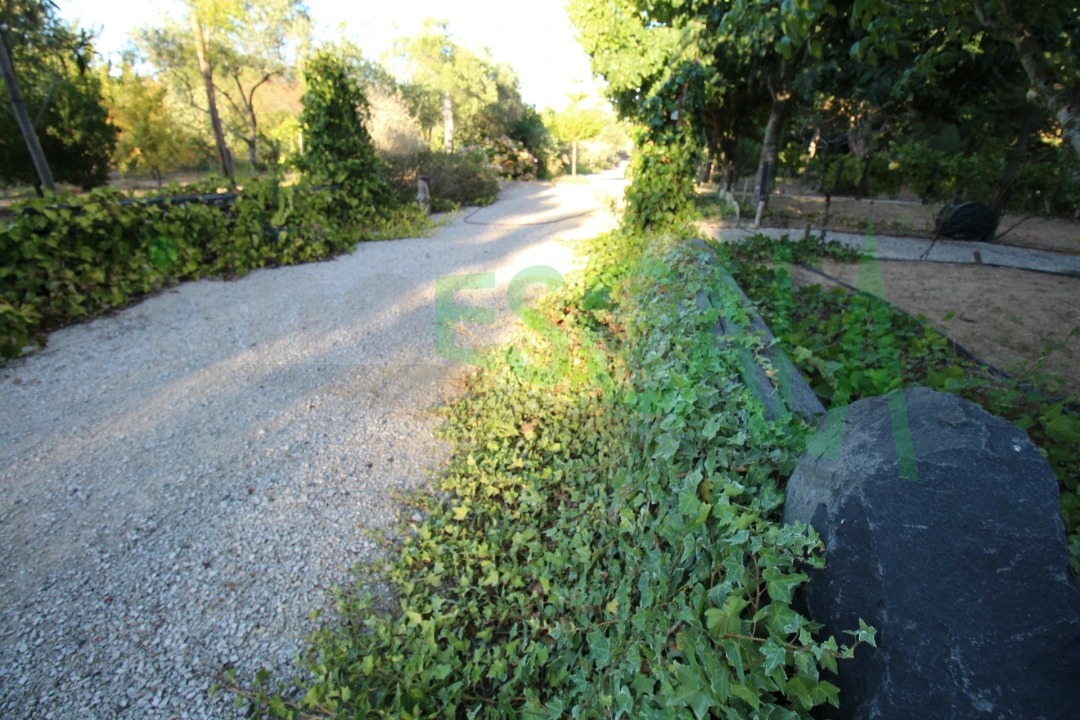 Quinta T2 para Venda em Vila Chã de Ourique Foto 123