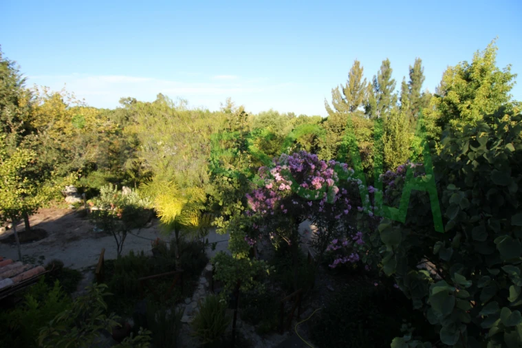 Quinta T2 para Venda em Vila Chã de Ourique Foto 19