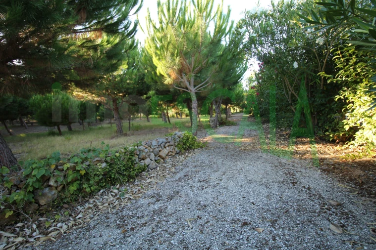 Quinta T2 para Venda em Vila Chã de Ourique Foto 107