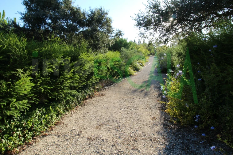 Quinta T2 para Venda em Vila Chã de Ourique Foto 108