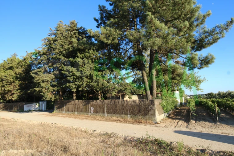 Quinta T2 para Venda em Vila Chã de Ourique Foto 136