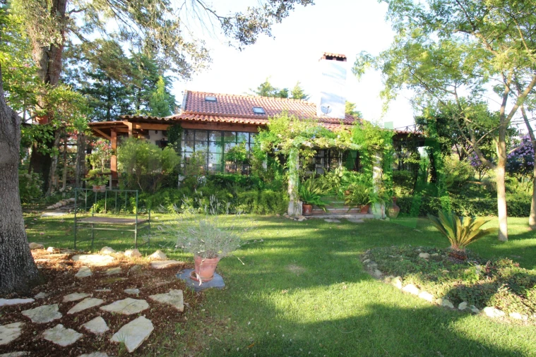 Quinta T2 para Venda em Vila Chã de Ourique Foto 2