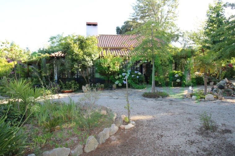 Quinta T2 para Venda em Vila Chã de Ourique Foto 7