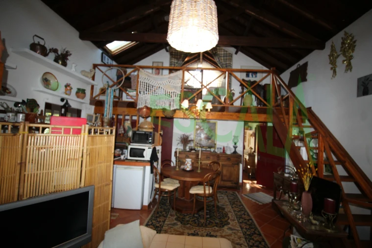 Quinta T2 para Venda em Vila Chã de Ourique Foto 49