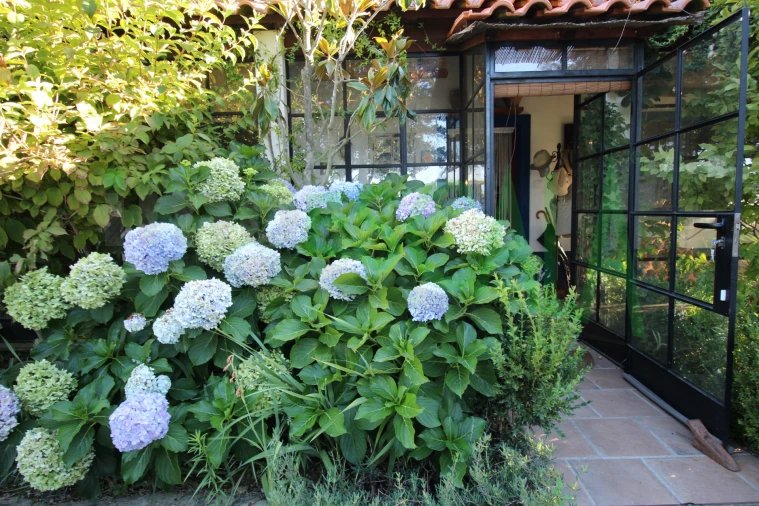 Quinta T2 para Venda em Vila Chã de Ourique Foto 9