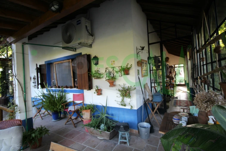 Quinta T2 para Venda em Vila Chã de Ourique Foto 62