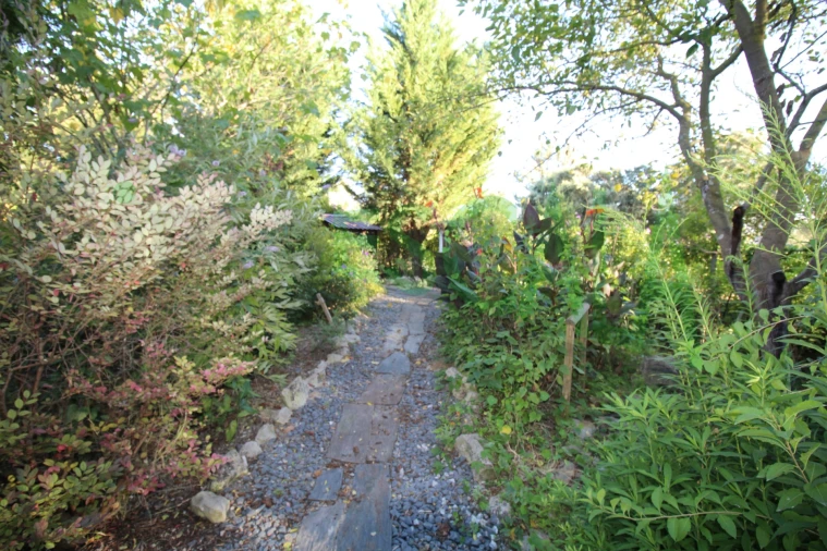 Quinta T2 para Venda em Vila Chã de Ourique Foto 80