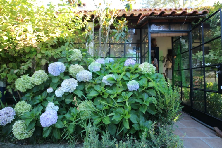 Quinta T2 para Venda em Vila Chã de Ourique Foto 8