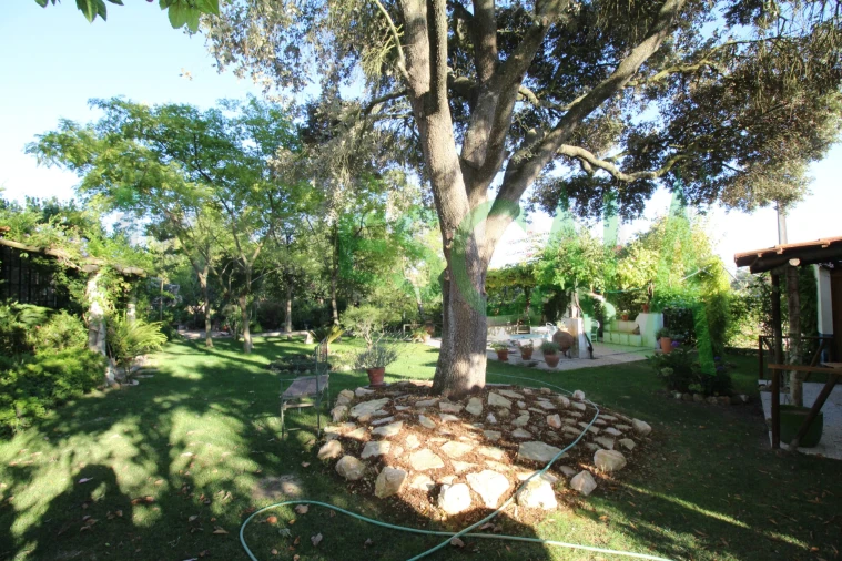 Quinta T2 para Venda em Vila Chã de Ourique Foto 30