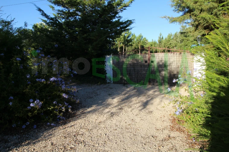 Quinta T2 para Venda em Vila Chã de Ourique Foto 110