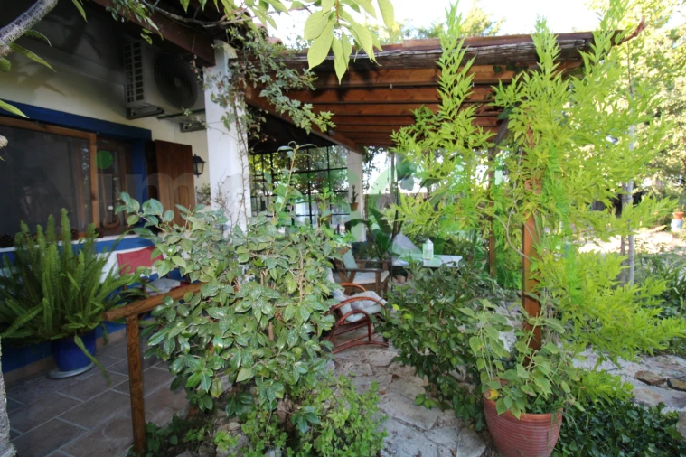 Quinta T2 para Venda em Vila Chã de Ourique Foto 24