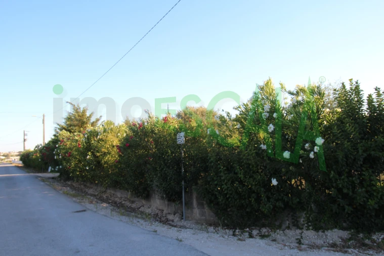 Quinta T2 para Venda em Vila Chã de Ourique Foto 141