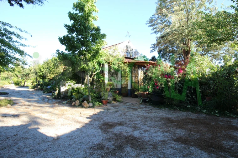 Quinta T2 para Venda em Vila Chã de Ourique Foto 4