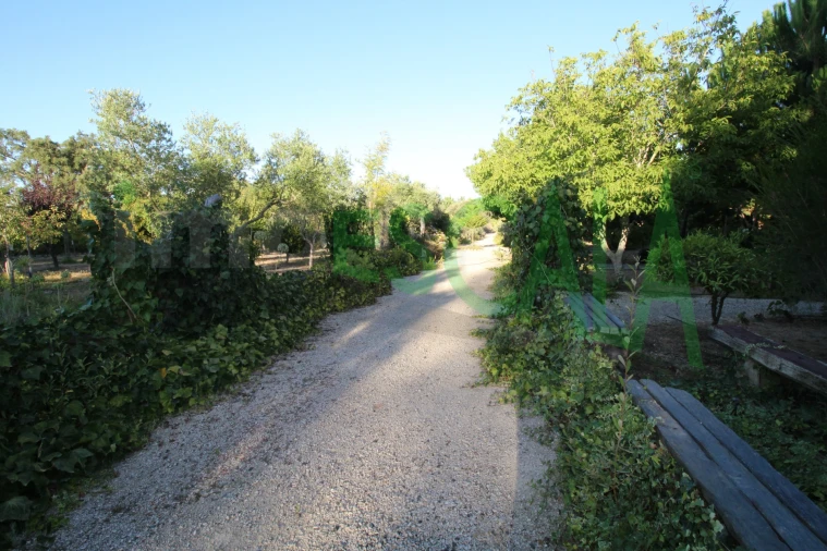 Quinta T2 para Venda em Vila Chã de Ourique Foto 93